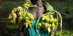 Image of a woman stood in a lake.