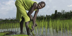 Image of a woman bending down in a lake.