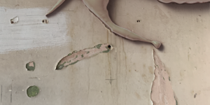 A picture of one of the graduate's designs.