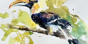 Watercolour painting of a bird.