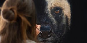 A picture of Sophie Green painting.