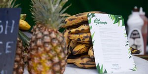 Image of a stack of bananas along with the Fed by Plants menu.