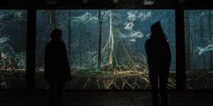 Image of two people watching a display.