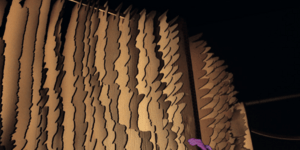 Artwork by Noah Moray Parker from University of Dundee.