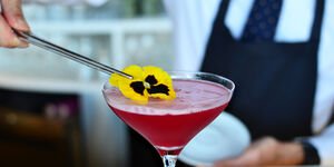 Image of someone making a cocktail.