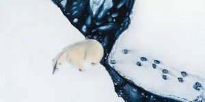 A painting of a polar bear in the Arctic.