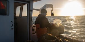 Person fishing on a boat in the sea
