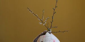 Image of a ceramic pot with a plant.