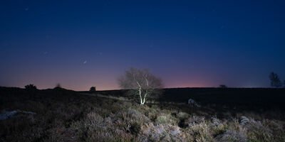 Emma Joyce, Image from the series 'Nocturna', 2022.